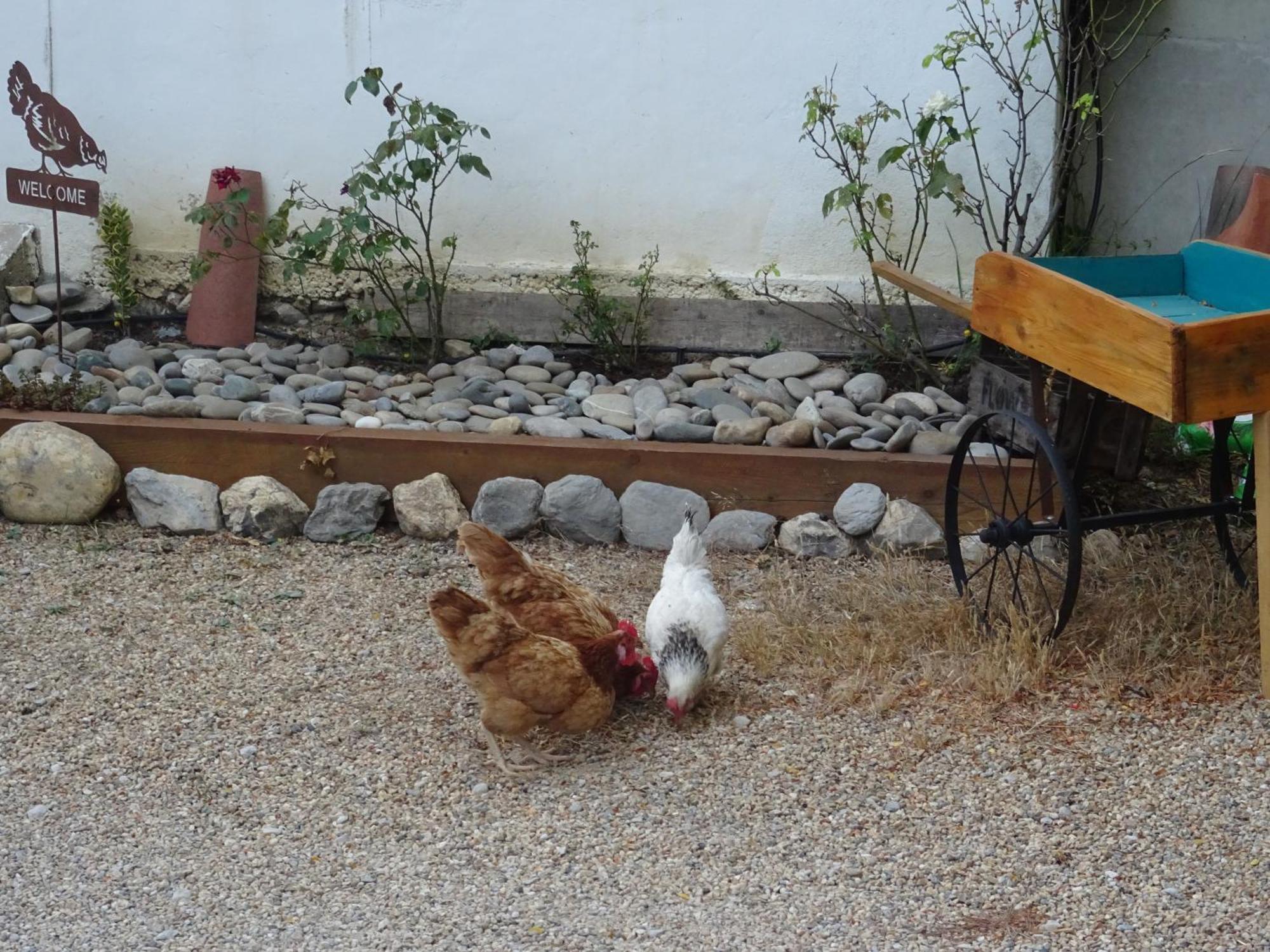 Les Ecrins D'Aix-En-Provence Villa ภายนอก รูปภาพ