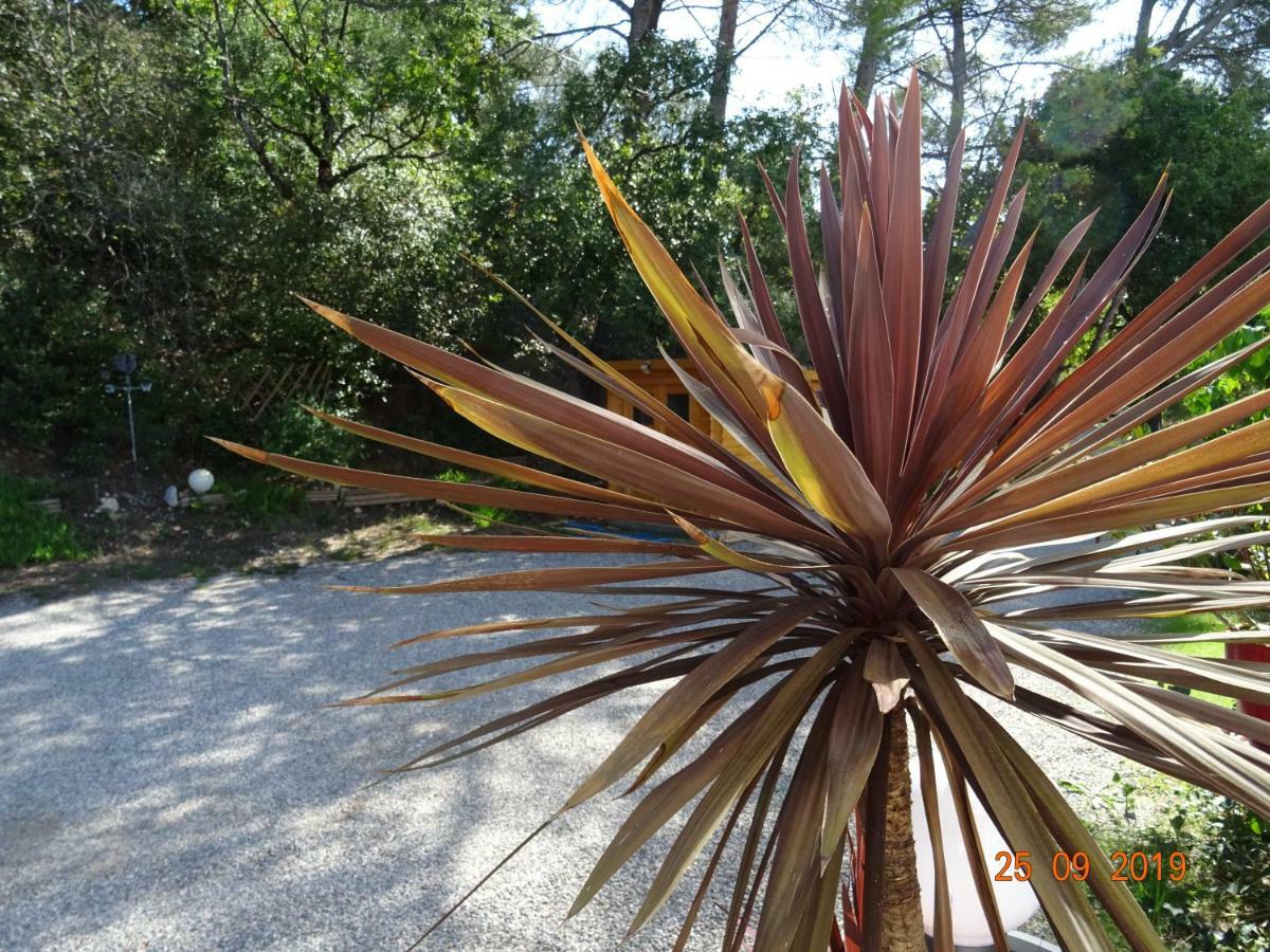 Les Ecrins D'Aix-En-Provence Villa ภายนอก รูปภาพ